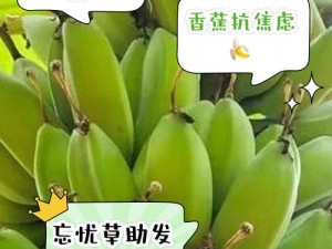 香蕉和忘忧草：天然的抗焦虑食品