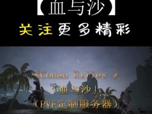 关于流放者柯南：盾牌之防卫与攻击双重作用详解