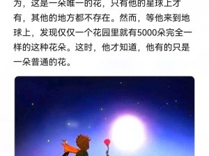 浇灌的玫瑰小王子：浪漫与勇气的交织