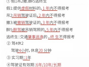 侠客快速通关攻略秘籍：多周目速刷技巧深度解析与实战指南