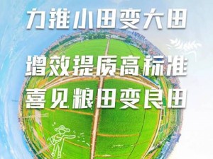 大地资源网中文第五页 如何在大地资源网中文第五页中找到所需资源？