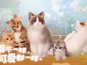 休闲治愈的猫咪养成游戏——亲爱的我的猫咪最新版本