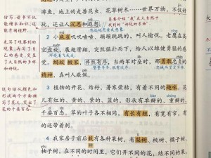 大肉大捧一进一出好爽笔记：全新升级，带来更刺激的体验