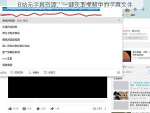 B站无字幕资源，一键获取视频中的字幕文件
