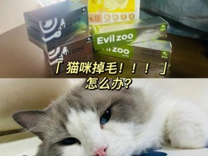 《伊洛纳：银猫捕捉攻略全解析，掌握这些方法让你轻松捉猫》