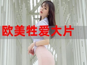 欧美三日本三级少妇三2023、欧美三日本三级少妇三 2023是什么？