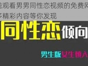 在线观看男男同性恋视频的免费网站，超多精彩内容等你发现