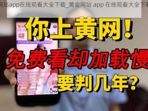 黄金网站app在线观看大全下载_黄金网站 app 在线观看大全下载安全吗？