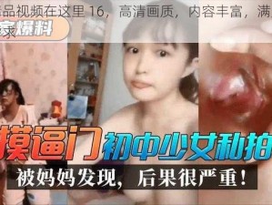 久久精品视频在这里 16，高清画质，内容丰富，满足你的所有需求