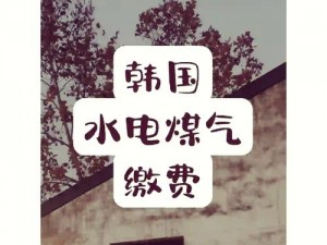 2 月 29 日韩国三色电费，这是什么梗？