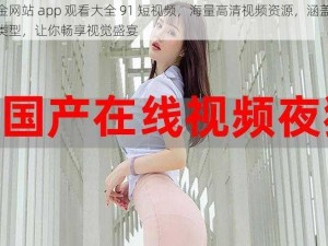 黄金网站 app 观看大全 91 短视频，海量高清视频资源，涵盖各种类型，让你畅享视觉盛宴