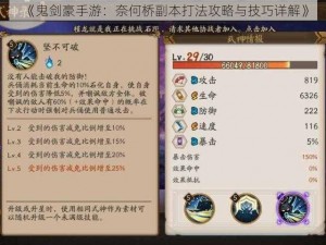 《鬼剑豪手游：奈何桥副本打法攻略与技巧详解》