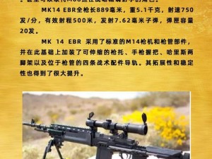 MK14实战性能解析：探讨其威力与实用性