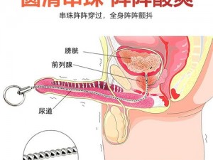 一款集惩罚、调教、尿孔灌、电击等功能于一身的成人情趣用品