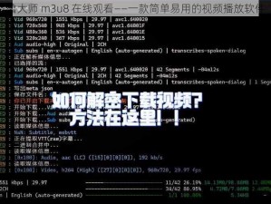 鲁大师 m3u8 在线观看——一款简单易用的视频播放软件