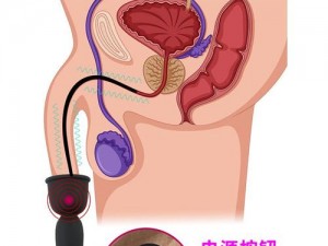 最新成人情趣用品，男倌被各种玉势开菊男男，让你欲罢不能