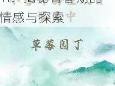 高中小雪的性欢日记 h：揭秘青春期的情感与探索