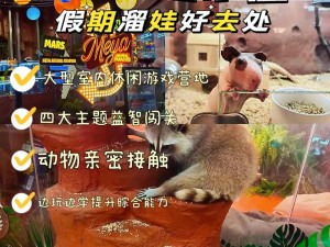 动物碰碰乐：趣味横生的生态互动体验之旅简介