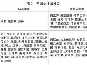 主战伙伴设定核心：策略调整与团队协作的伙伴选择之道