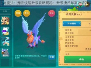 创造与魔法：宠物快速升级攻略揭秘：升级捷径与高效培养指南