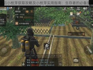 明日之后小枝芽获取攻略及小枝芽实用指南：生存者的必备资源解析