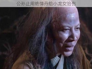 公孙止用绝情丹给小龙女治伤