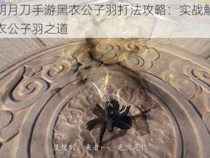 天涯明月刀手游黑衣公子羽打法攻略：实战解析击败黑衣公子羽之道