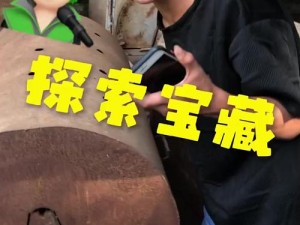 一起探索宝藏：捉妖小蝌蚪的秘密乐园