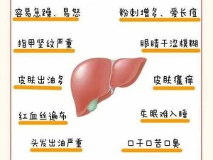 强肝 13 小时：让你的肝脏更健康