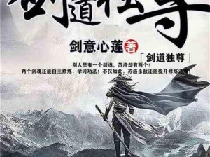 九剑传奇剑客：绝世武功与荣耀征程的双重篇章