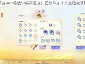 射雕手游中神秘武学秘籍揭晓：揭秘降龙十八掌独家获取攻略