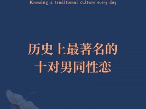 一款提供同性男男 A 片免费播放的视频播放软件