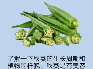 秋葵草莓丝瓜黄瓜榴莲污污污—秋葵草莓丝瓜黄瓜榴莲，哪种是你的最爱？