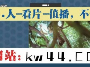 5g影院天天爽入口入口—5g 影院天天爽入口，带你感受极致视觉体验