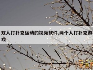 一款让你在晚上尽情享受剧烈运动和打扑克的软件