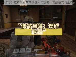 《使命召唤16》吃鸡模式萌新快速入门攻略：实战技巧与生存策略解析