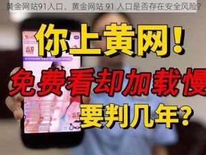 黄金网站91入口、黄金网站 91 入口是否存在安全风险？