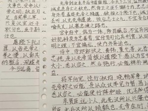 三国梗传第23关攻略大全：揭秘默写出师表通关技巧与策略