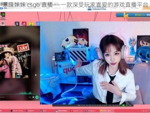 暴躁妹妹 csgo 直播——一款深受玩家喜爱的游戏直播平台