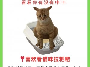 猫猫狗狗欢乐集结猫咪语录触降惊喜集锦——猫咪语录奖励全集萃