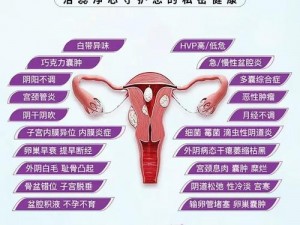 女性性健康护理产品，滋养女性私密部位，促进体内新陈代谢