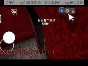 关于Granny的趣味探索：深入解析Granny玩法攻略