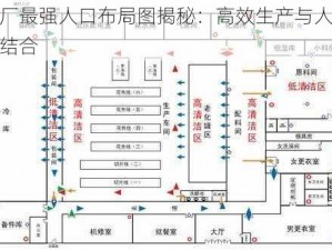 挂机工厂最强人口布局图揭秘：高效生产与人流管理的完美结合