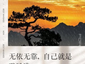 孤独前行，骄傲闪耀：无依无靠的坚韧力量