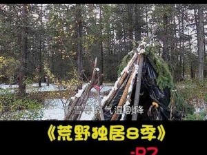 超级荒野生存系统：极限挑战下的生存法则探索与实践