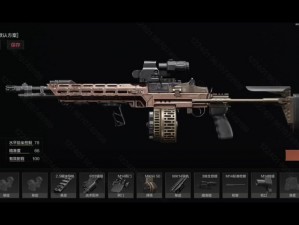 MK12与Mini14：精准火力与轻便实用的属性对比