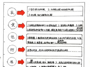 荒野日记攻略顺序揭秘：生存探险的正确打开方式一步步走向胜利之路