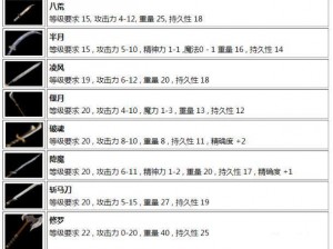 黑暗与光明战士加点策略及武器饰品选择指南：战士成长攻略全面解析