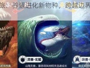 探索乐趣之旅：养鲲进化新物种，跨越边界的探索与玩味之道