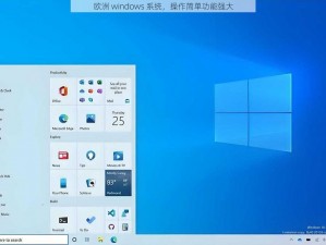 欧洲 windows 系统，操作简单功能强大